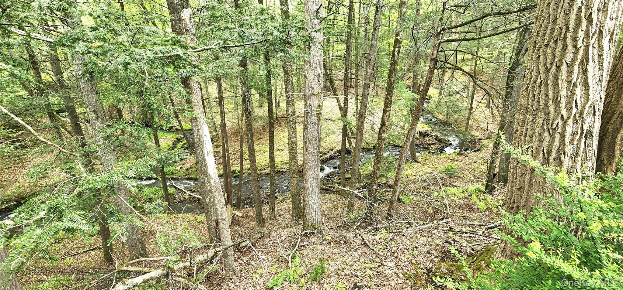 66 Hillside Road, Barryville, NY 12719