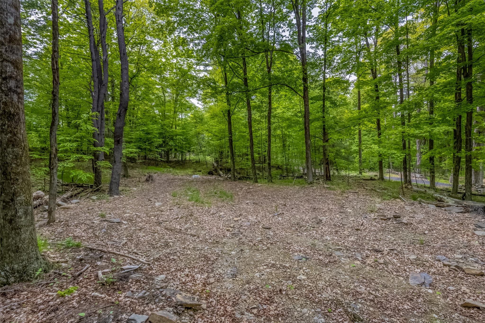 Mossy Hill Road Road, Catskill, NY 12414