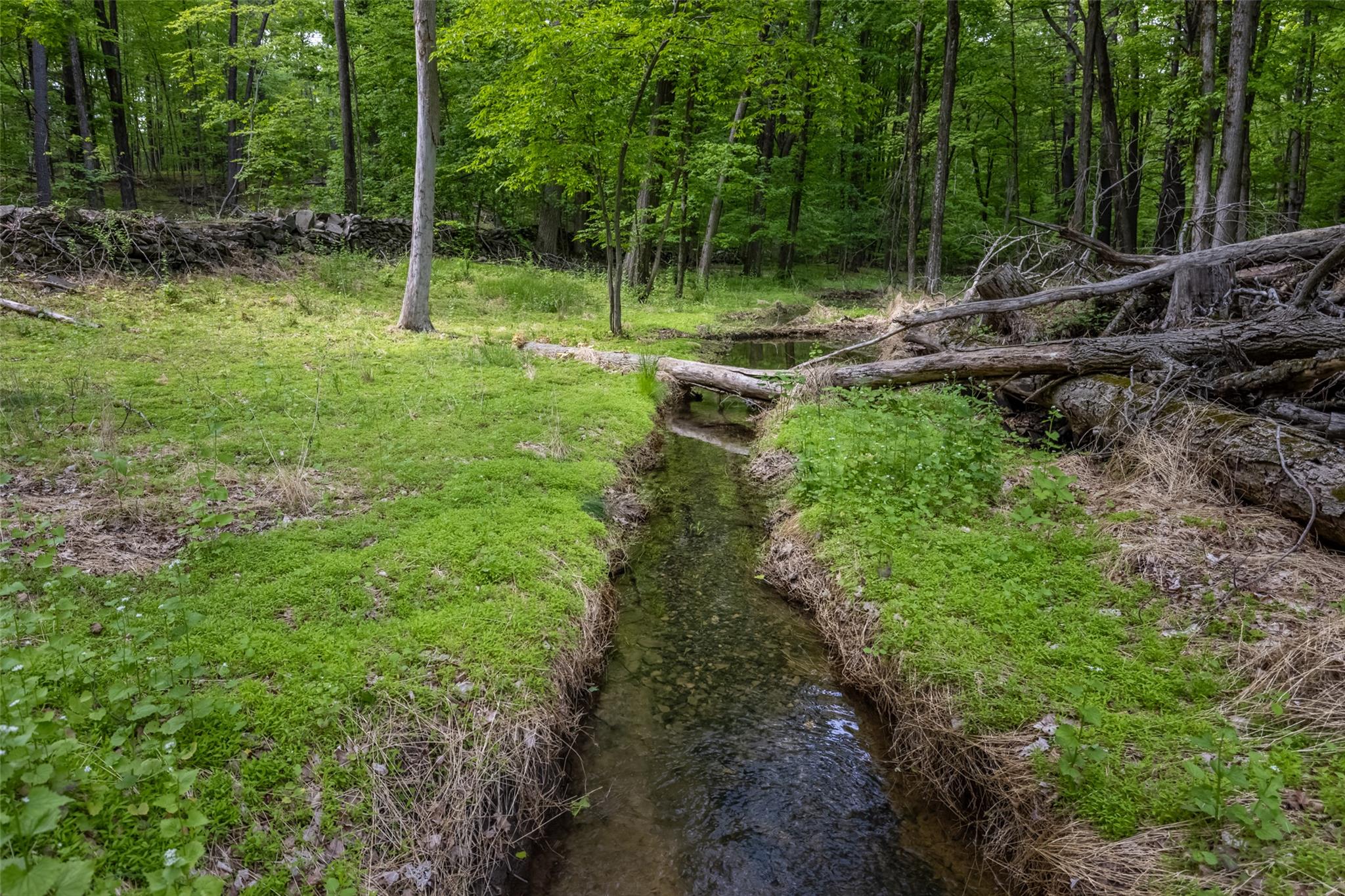 Mossy Hill Road Road, Catskill, NY 12414