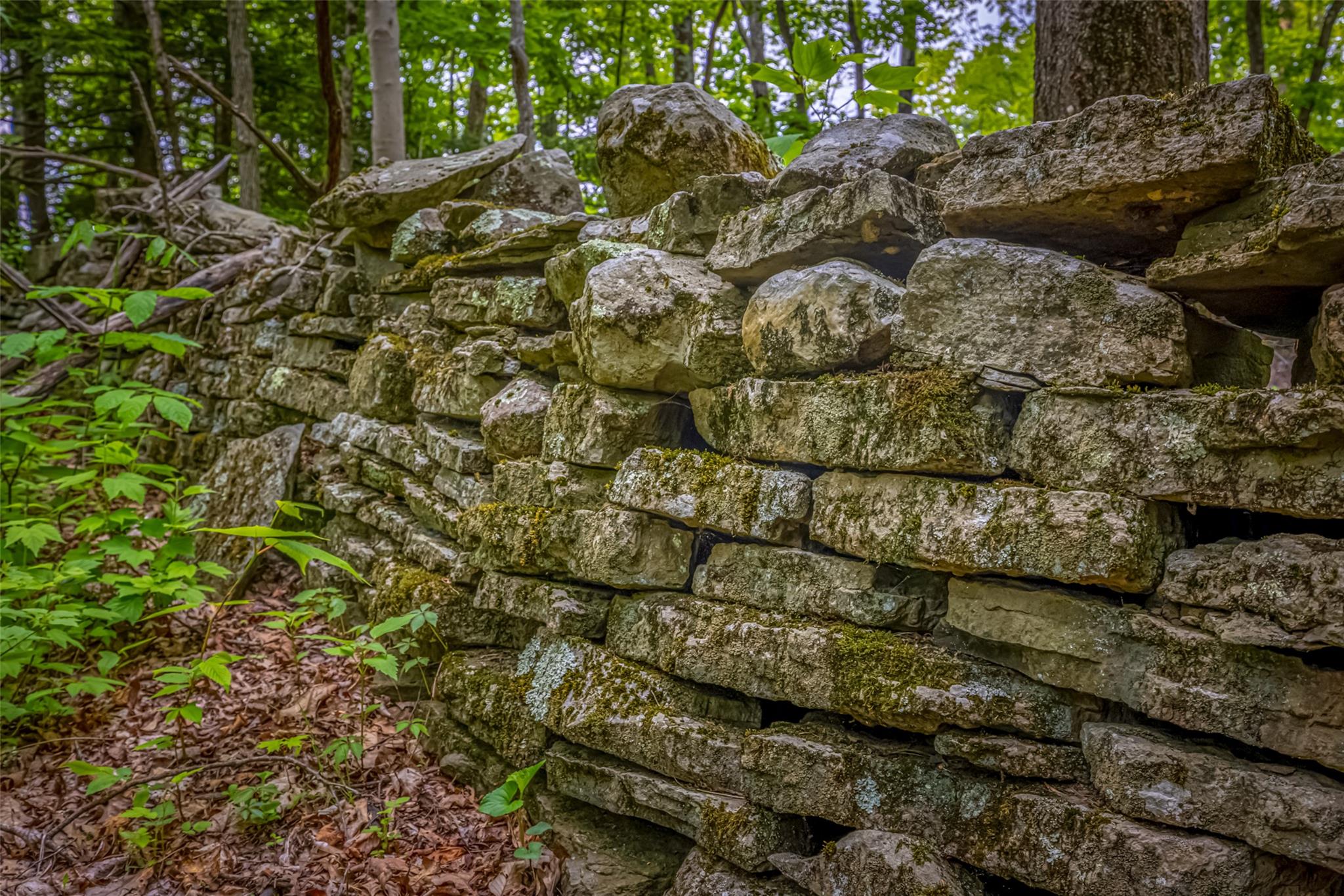 Mossy Hill Road Road, Catskill, NY 12414