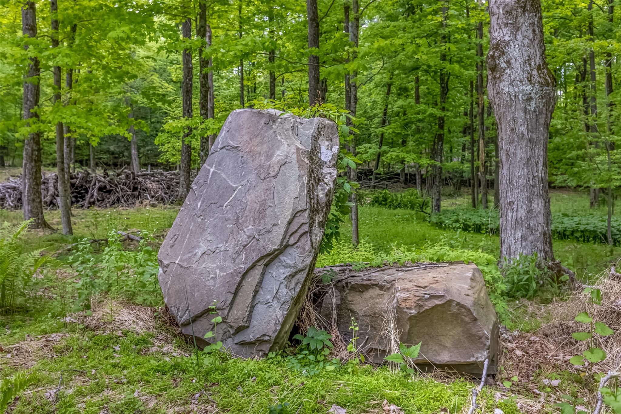 Mossy Hill Road Road, Catskill, NY 12414