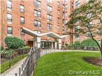 814 Tilden Street # STK-B, Bronx, NY 10467