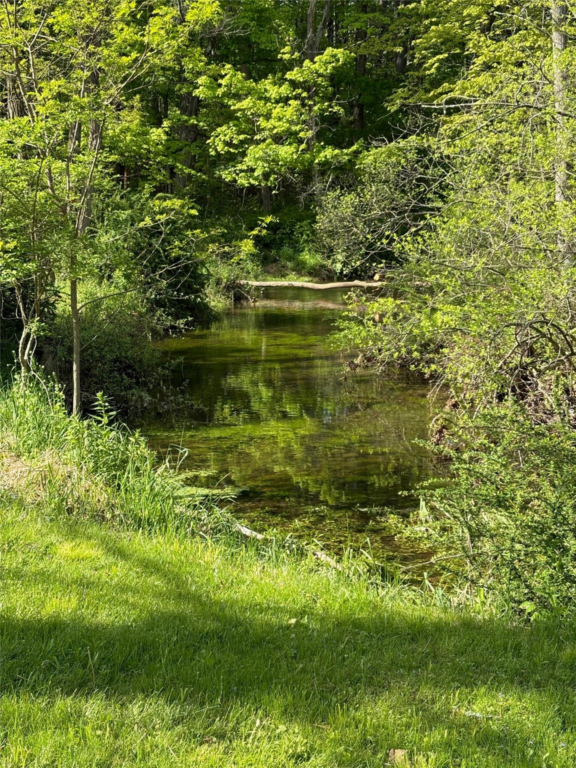 196 Tinker Street, Woodstock, NY 12498