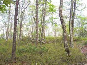 Peewee Trail, Wurtsboro, NY 12790