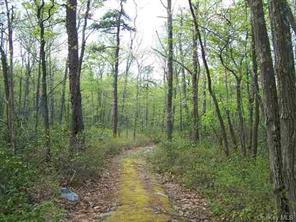 Peewee Trail, Wurtsboro, NY 12790