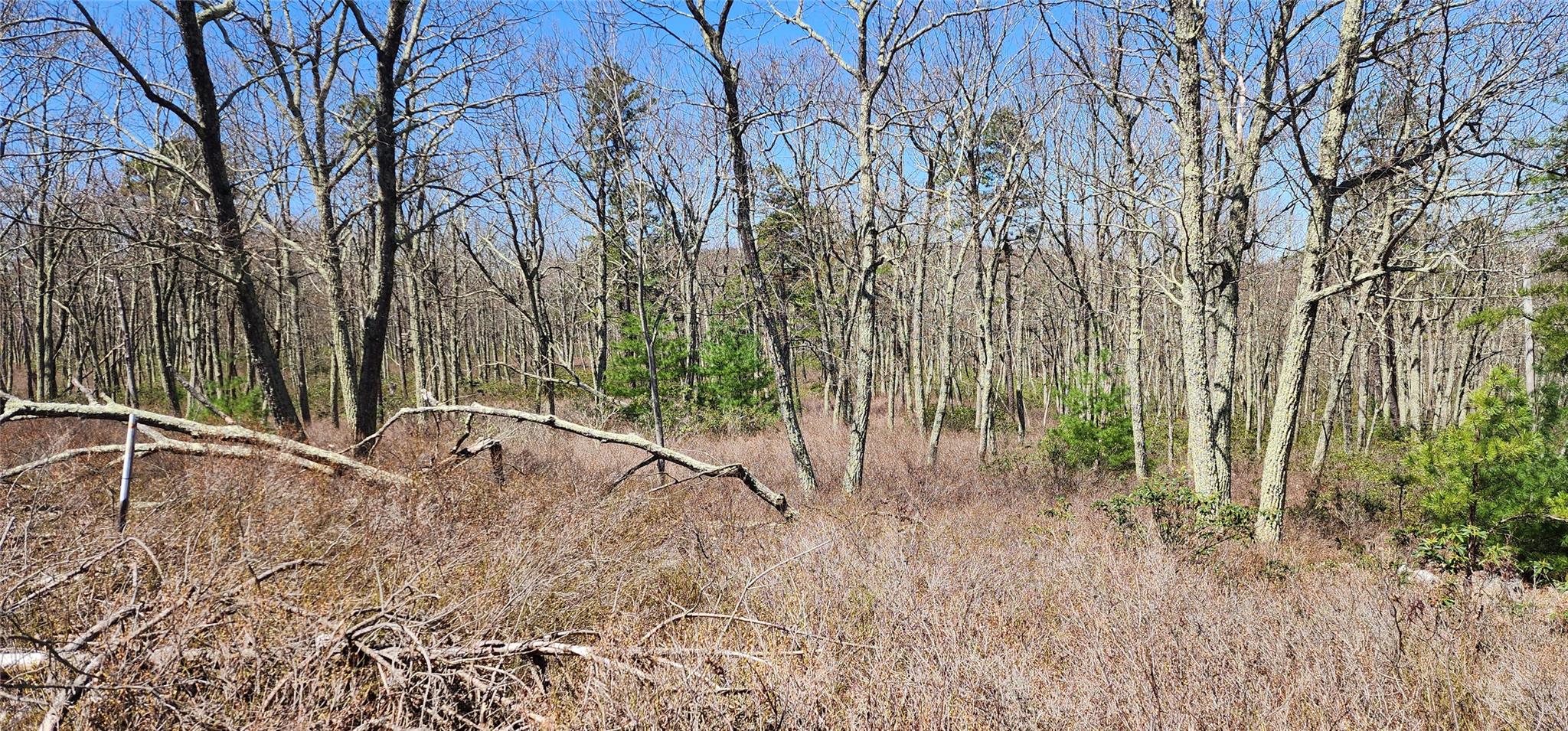 Peewee Trail, Wurtsboro, NY 12790