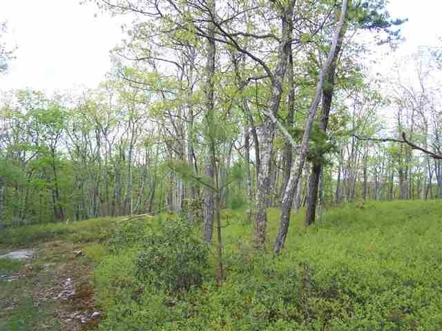 New Road, Wurtsboro, NY 12790