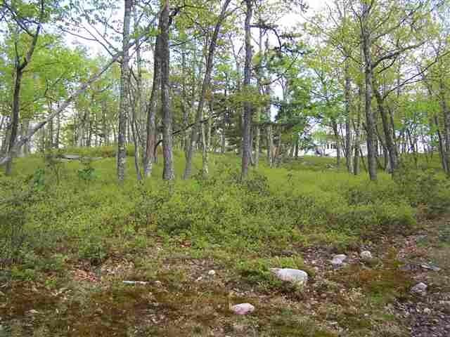 New Road, Wurtsboro, NY 12790