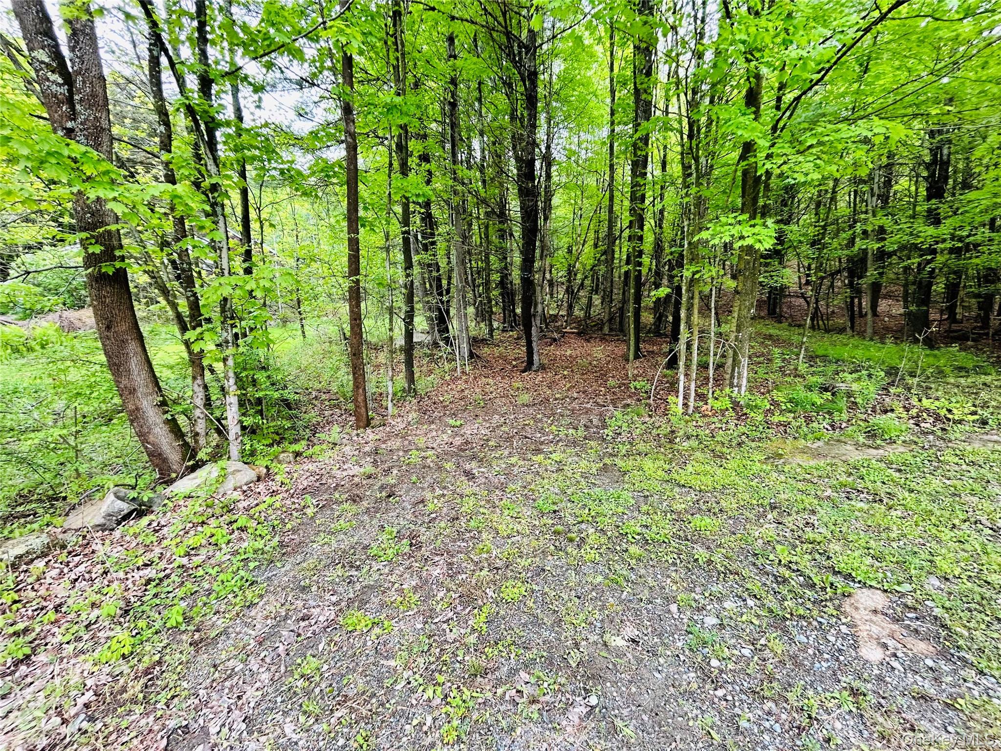 981 New Hague Road, Call Listing Agent, NY 12836