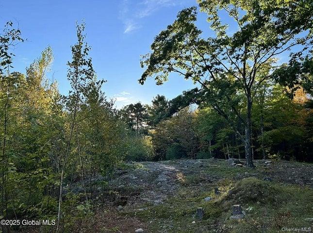 981 New Hague Road, Call Listing Agent, NY 12836