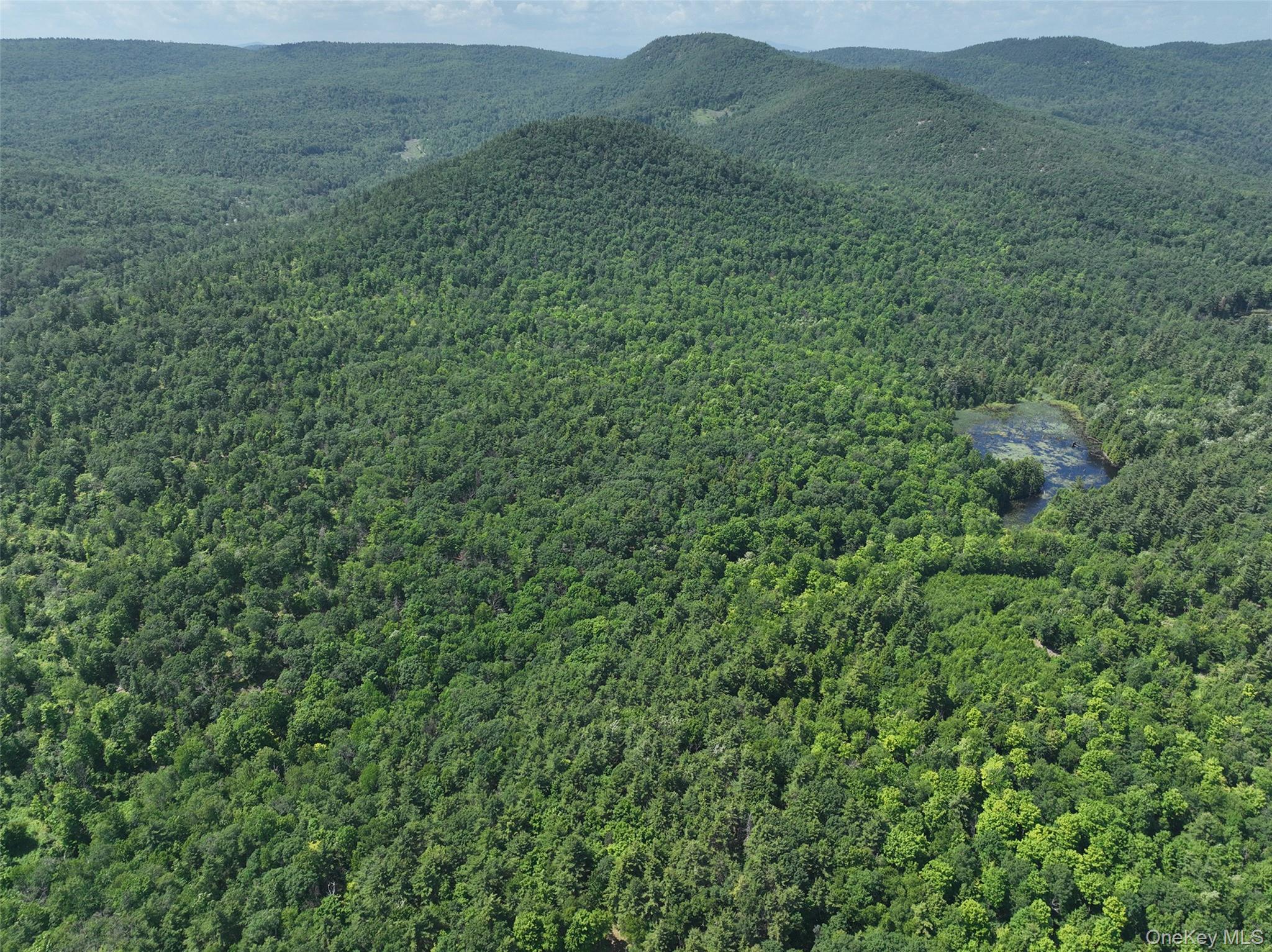 981 New Hague Road, Call Listing Agent, NY 12836