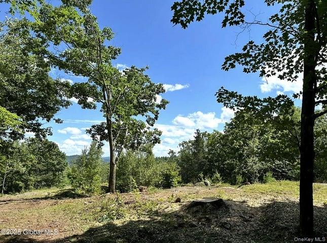 981 New Hague Road, Call Listing Agent, NY 12836