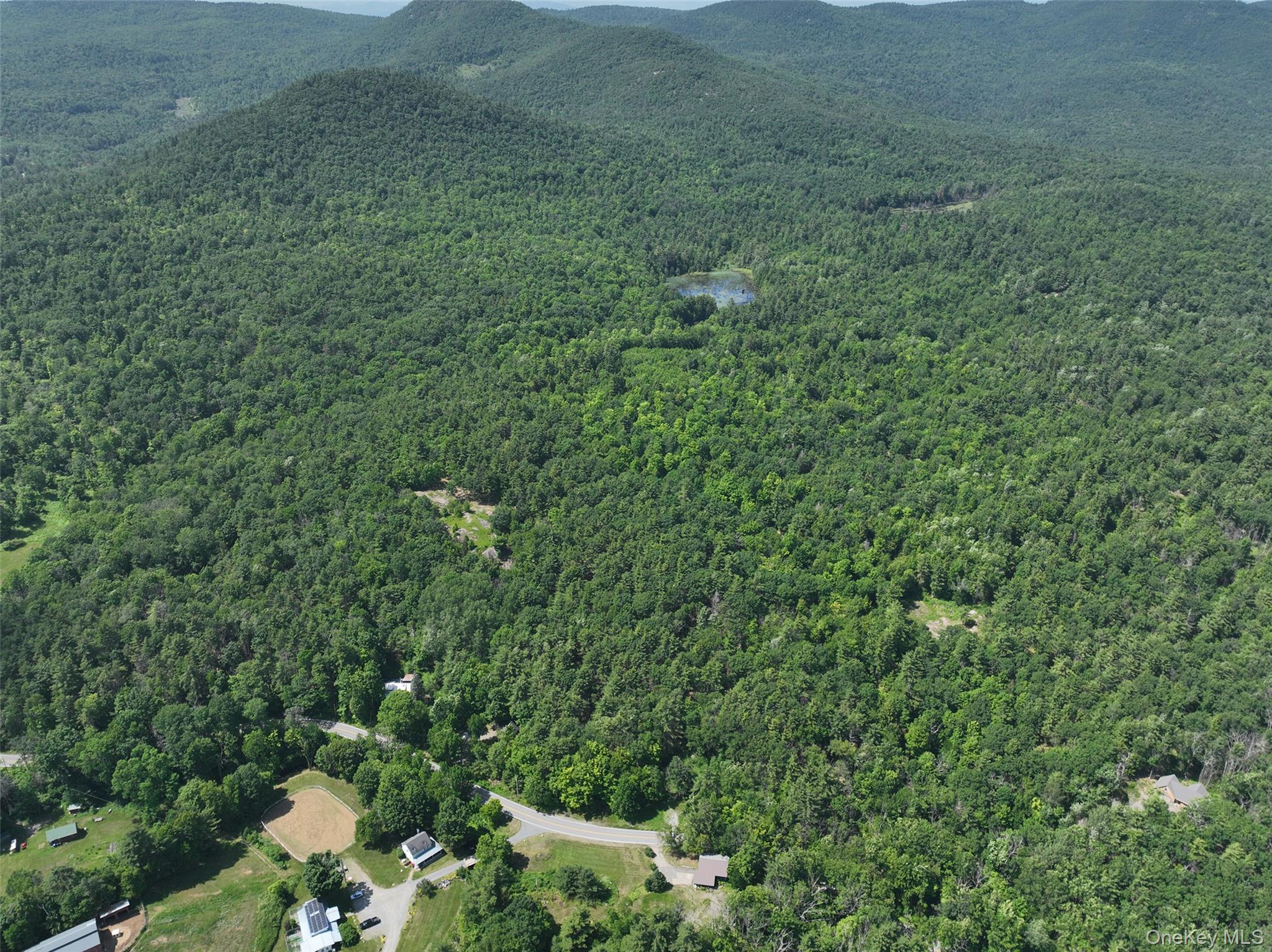 981 New Hague Road, Call Listing Agent, NY 12836