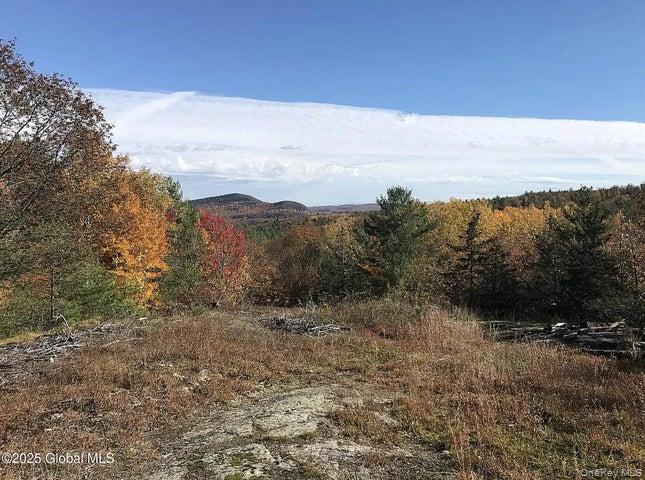 981 New Hague Road, Call Listing Agent, NY 12836