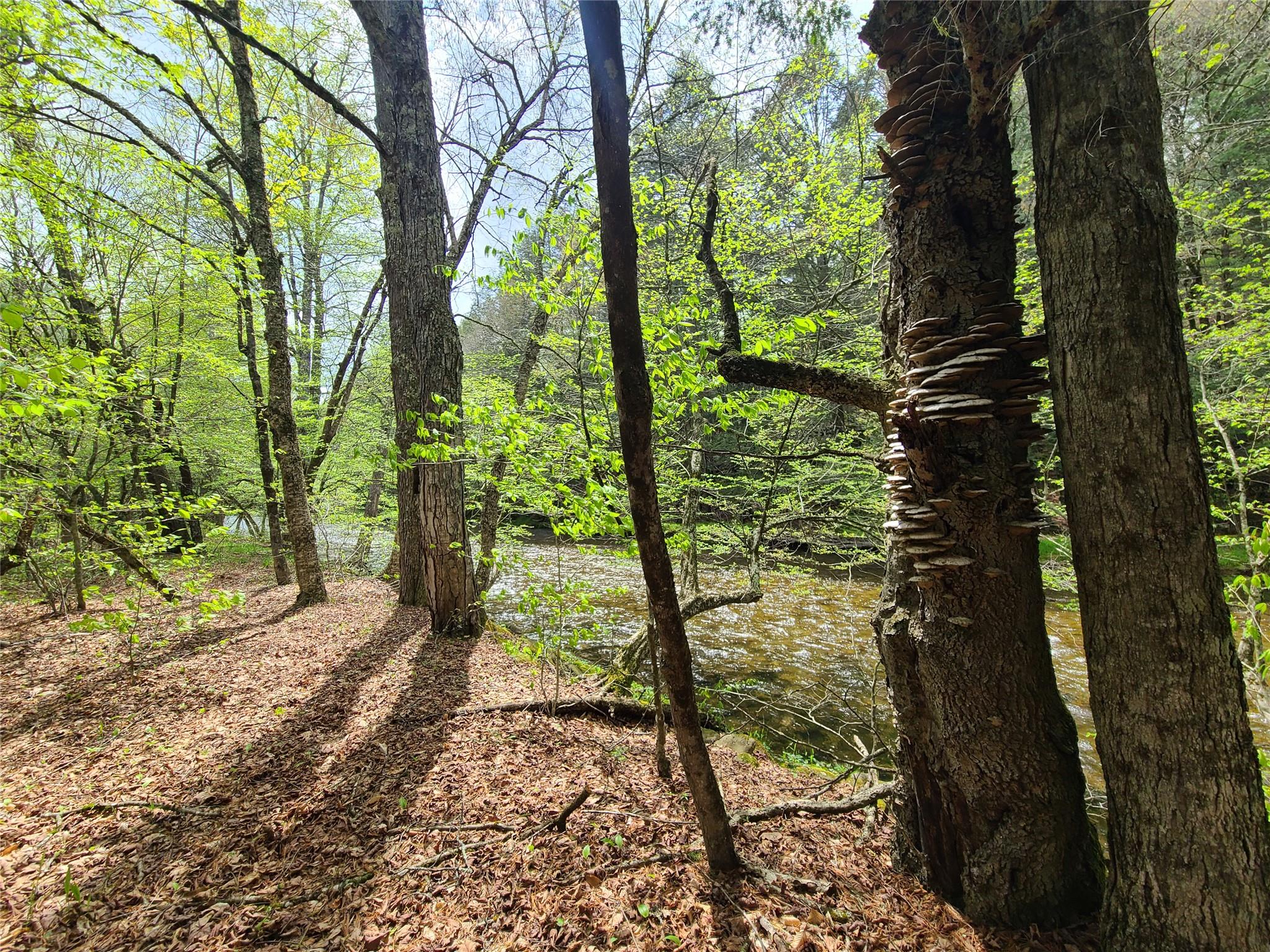 1987 Denning Road, Claryville, NY 12725