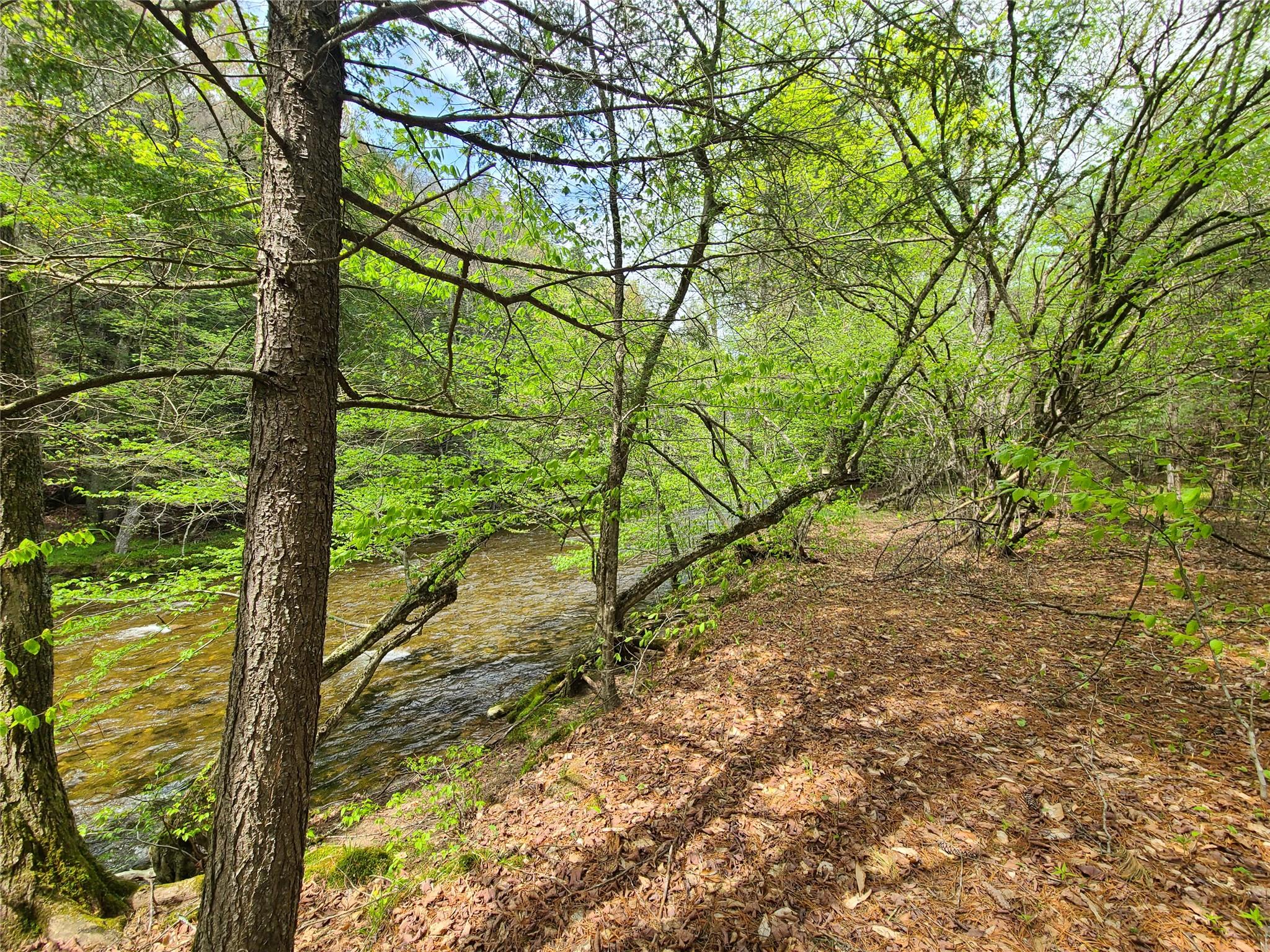 1987 Denning Road, Claryville, NY 12725