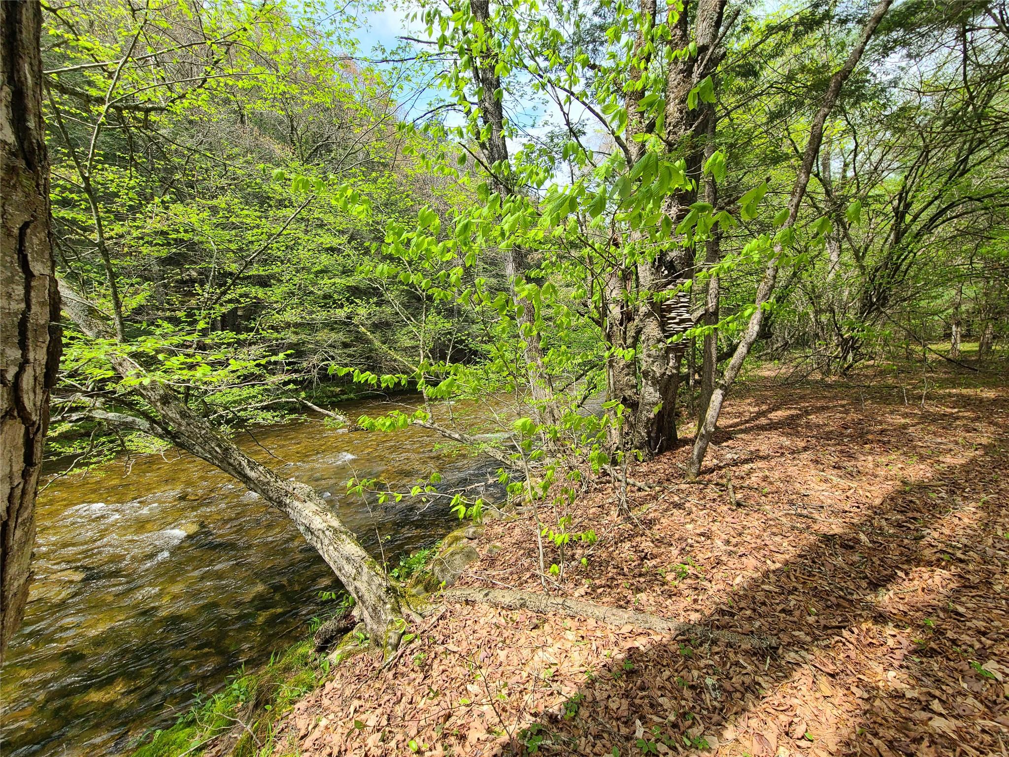 1987 Denning Road, Claryville, NY 12725