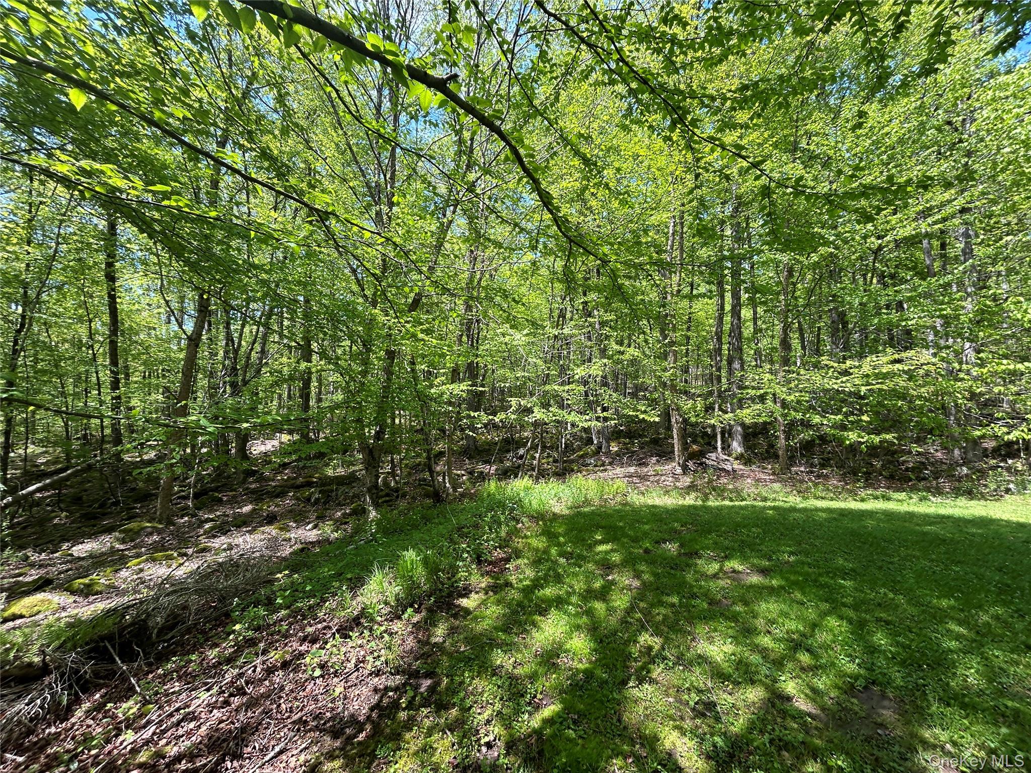 367 Mud Pond Road, Livingston Manor, NY 12758