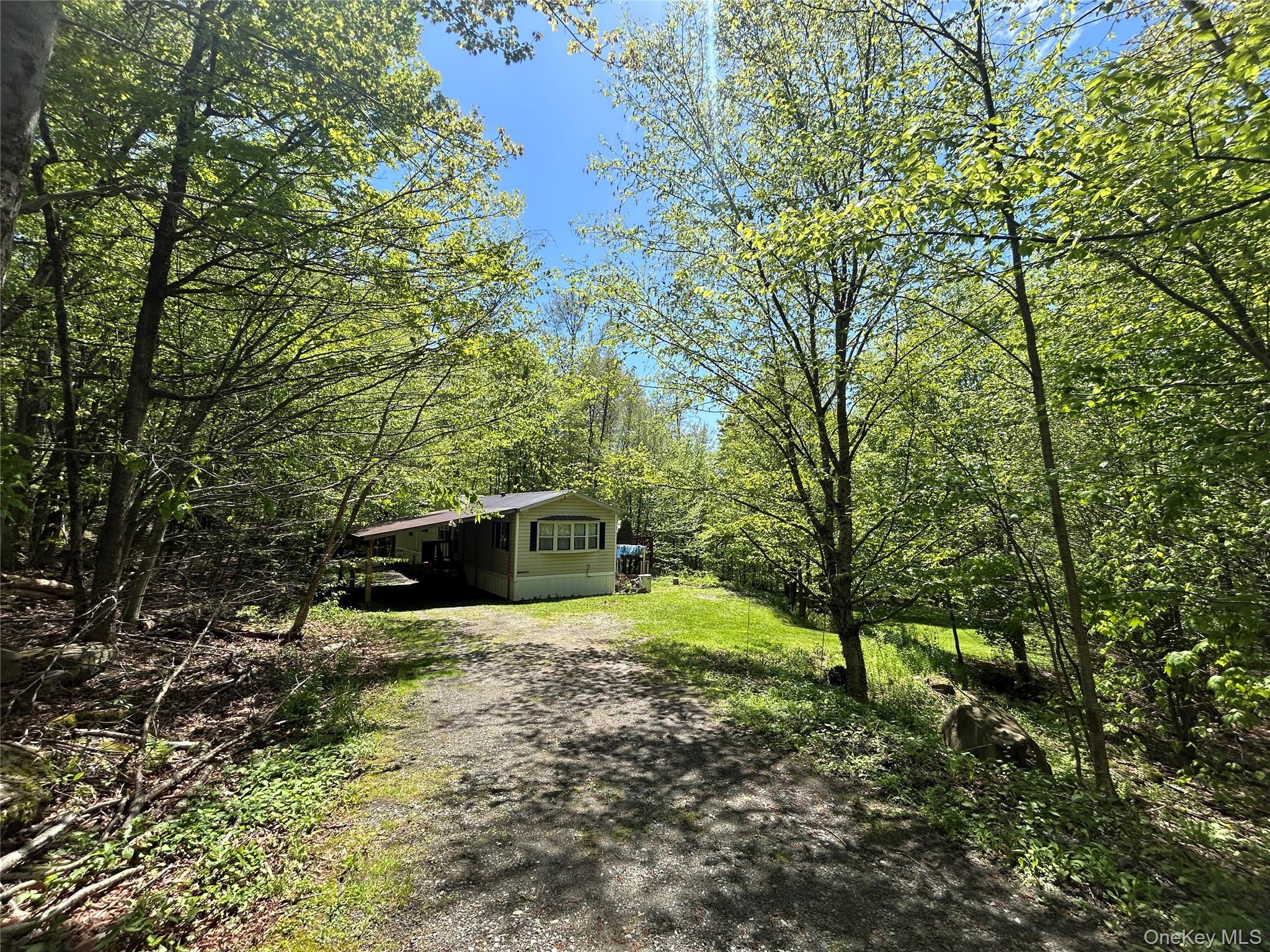 367 Mud Pond Road, Livingston Manor, NY 12758