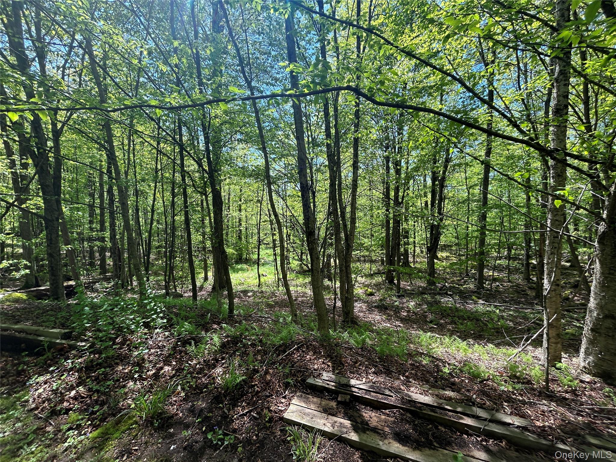 367 Mud Pond Road, Livingston Manor, NY 12758