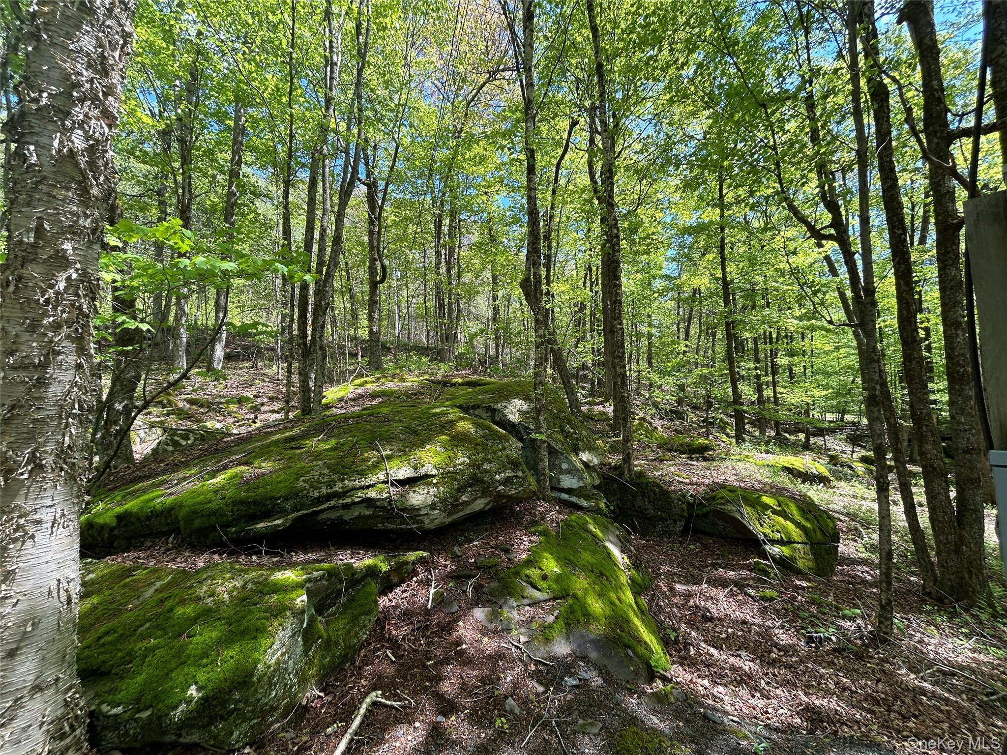 367 Mud Pond Road, Livingston Manor, NY 12758