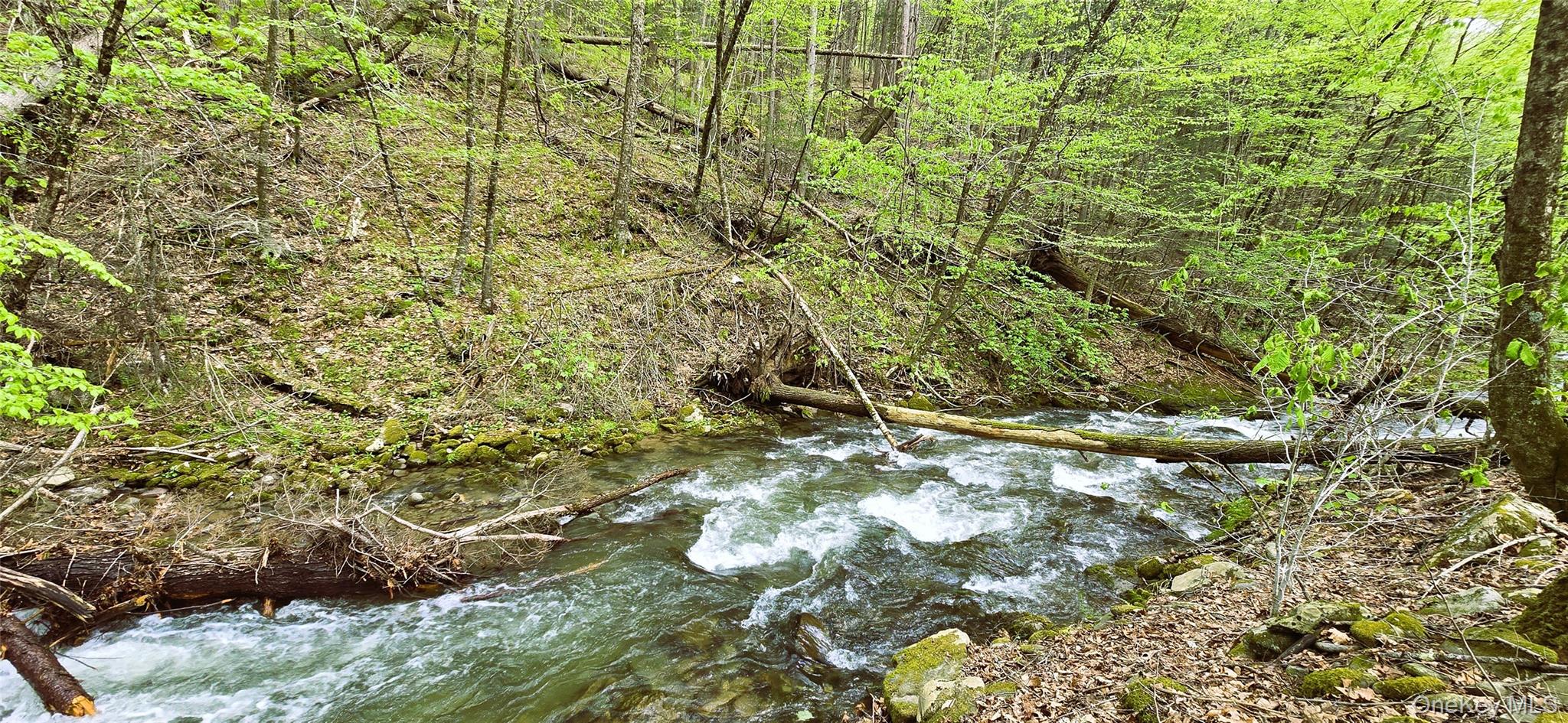 266 Sugar Loaf Road, Grahamsville, NY 12740