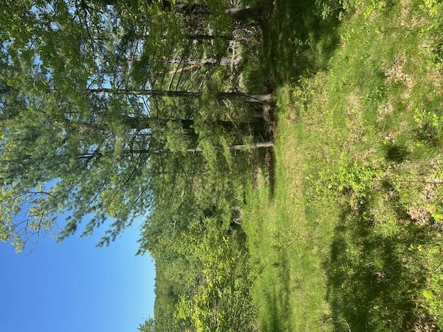 6450B NYS 97, Narrowsburg, NY 12764