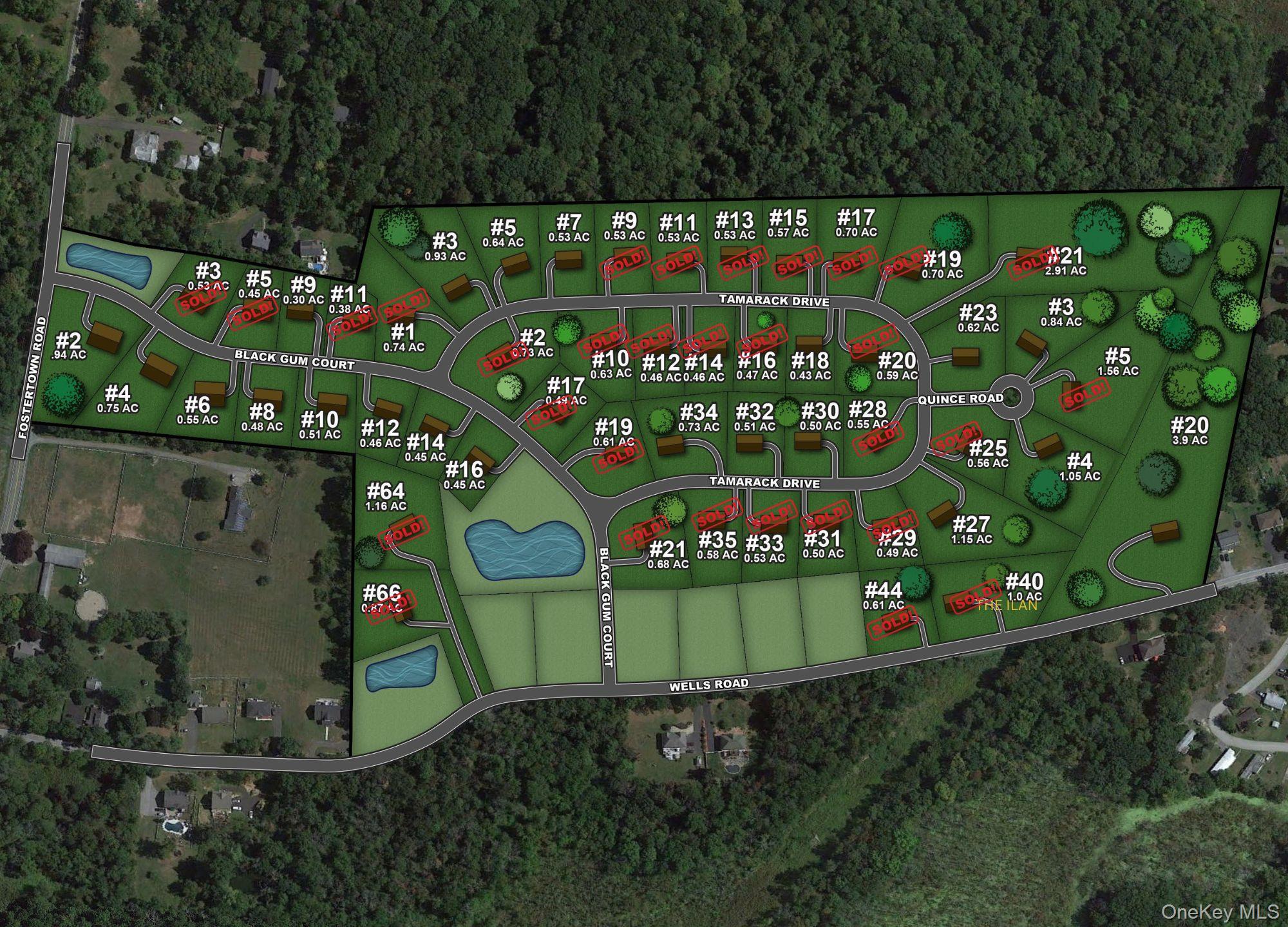 3 Black Gum Court, Newburgh, NY 12550