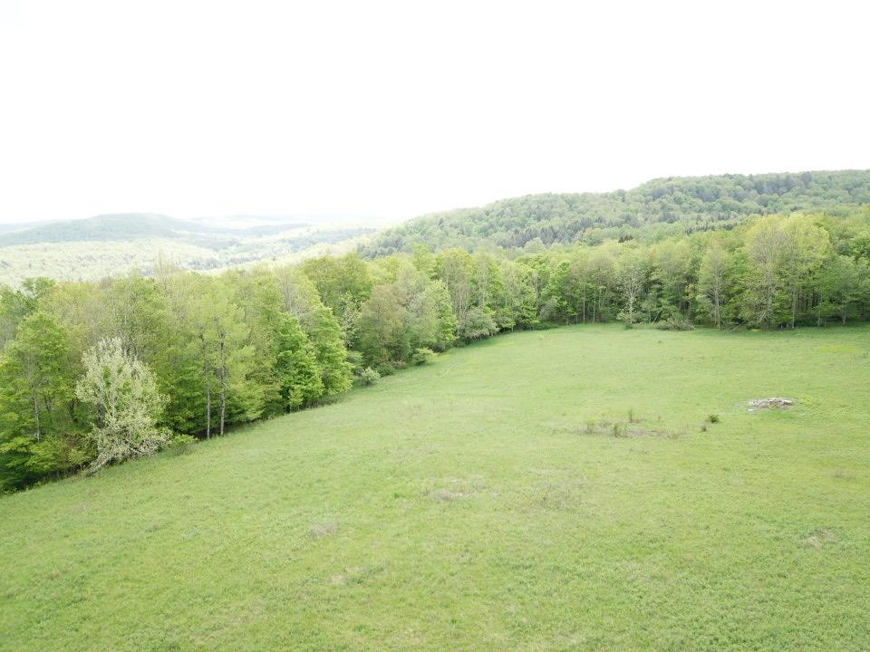 0 Dubois, Livingston Manor, NY 12758