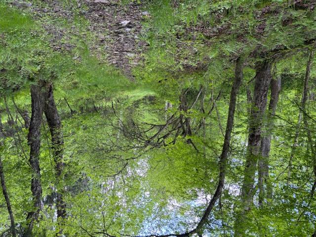 0 Dubois, Livingston Manor, NY 12758