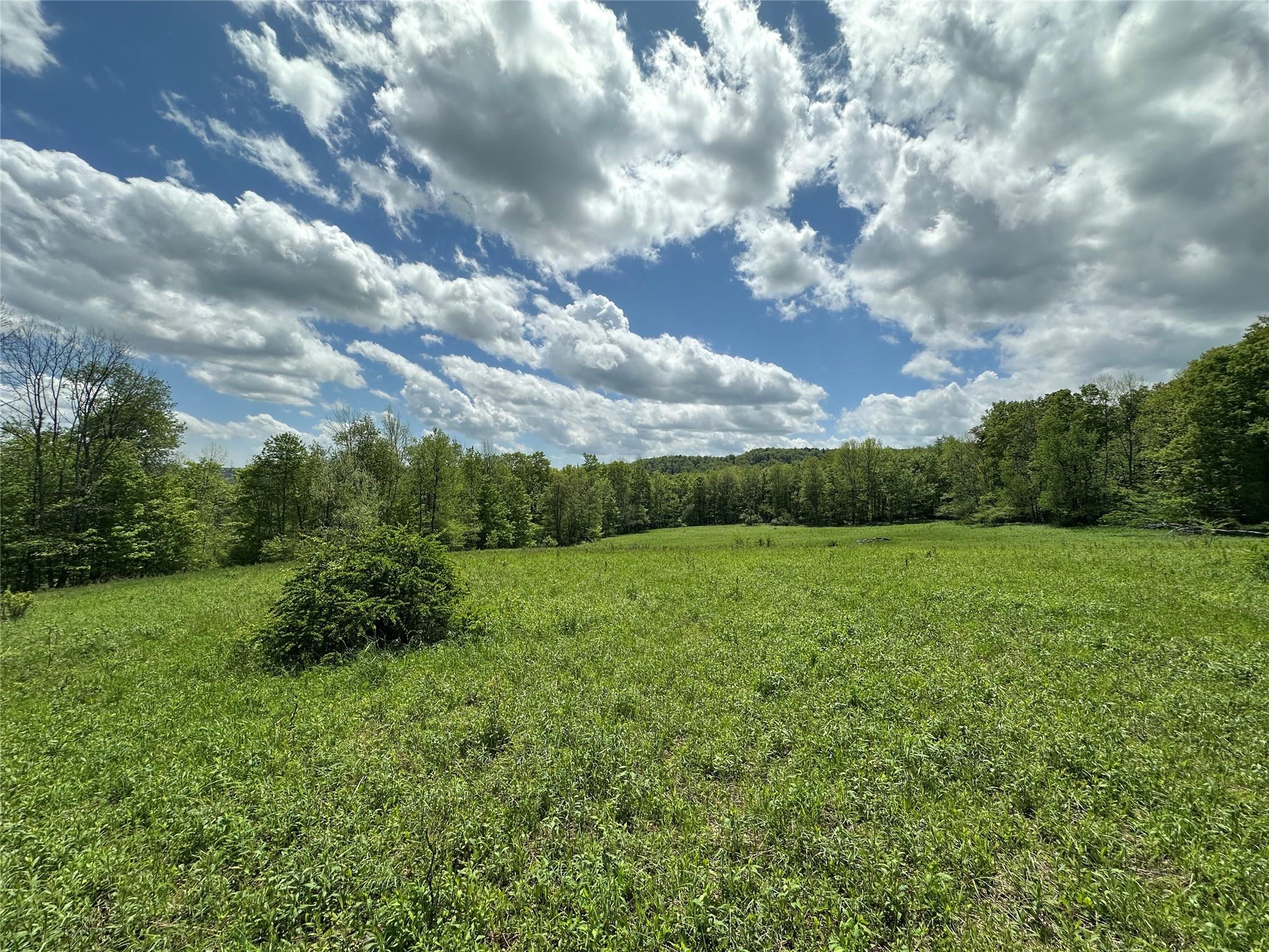 0 Dubois, Livingston Manor, NY 12758