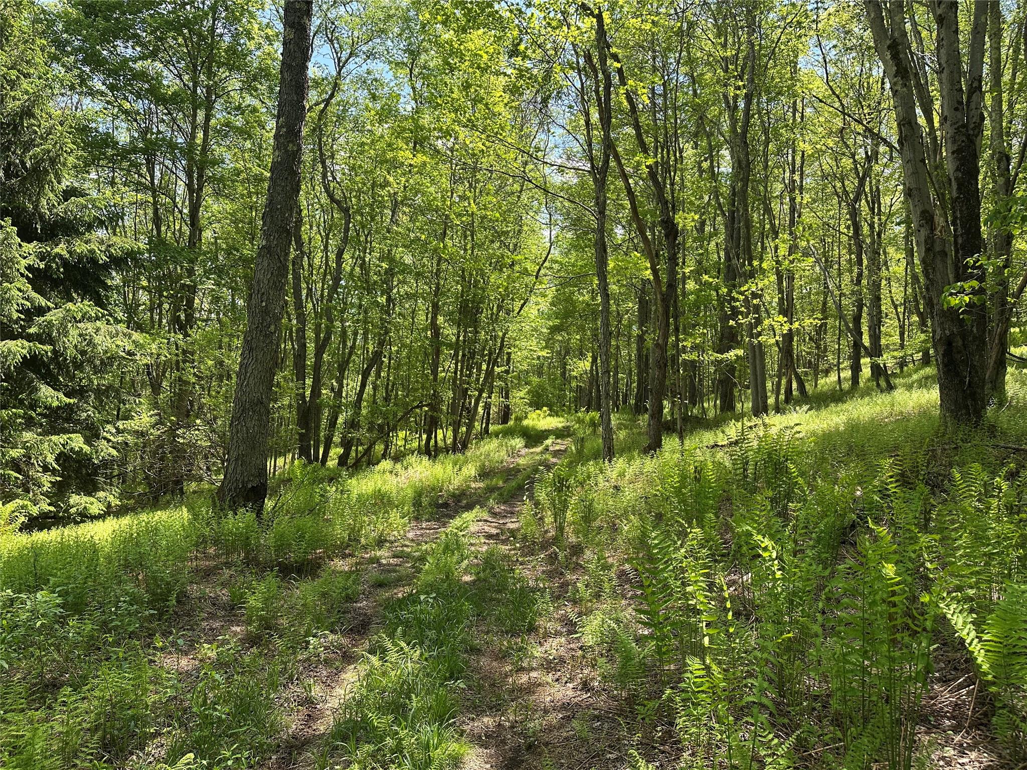 0 Dubois, Livingston Manor, NY 12758