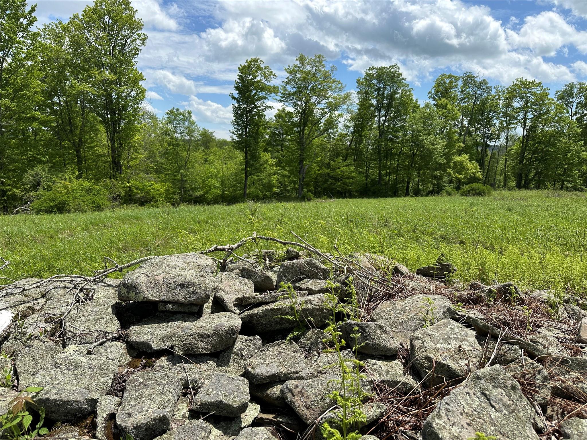 0 Dubois, Livingston Manor, NY 12758