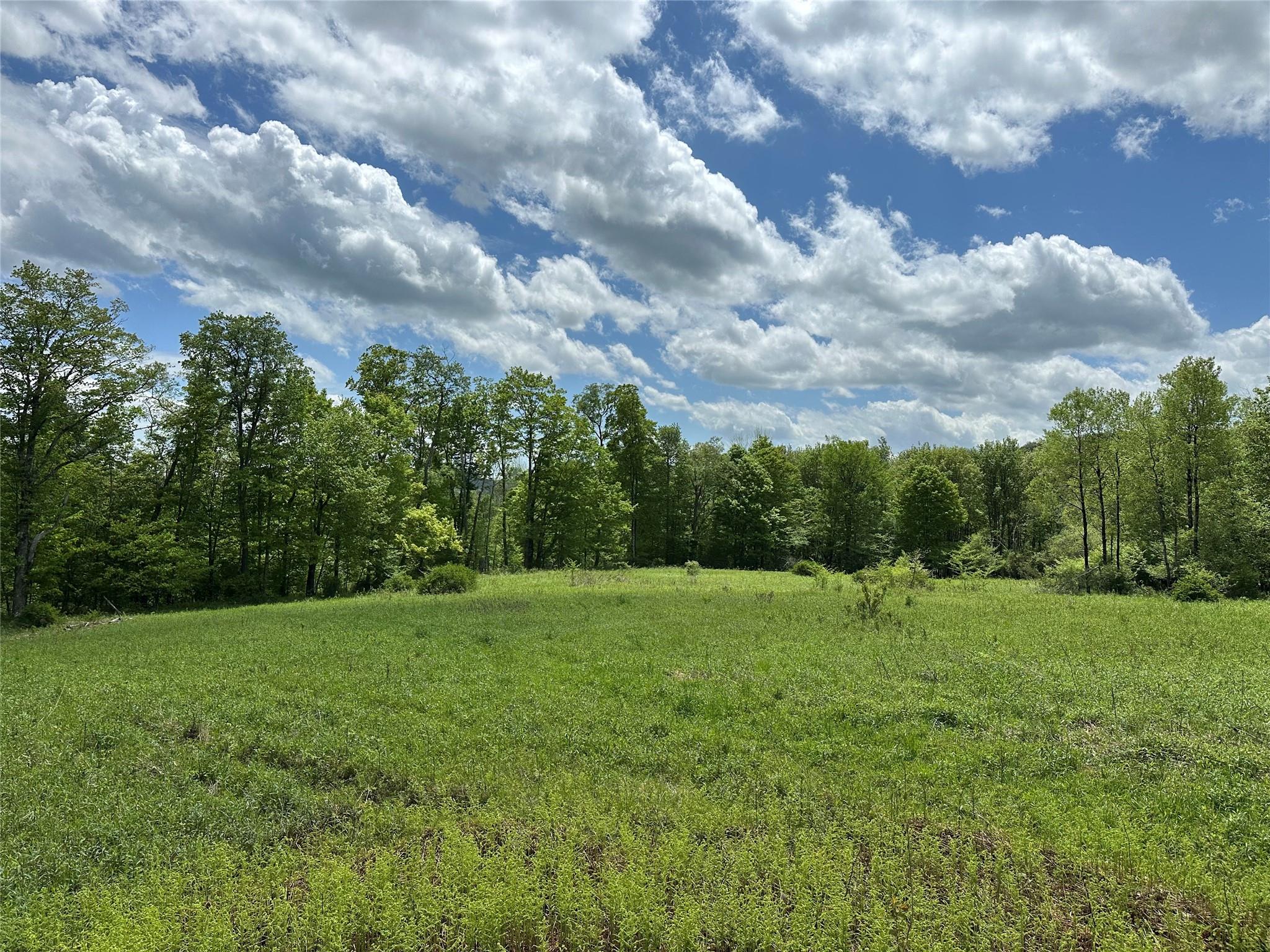 0 Dubois, Livingston Manor, NY 12758