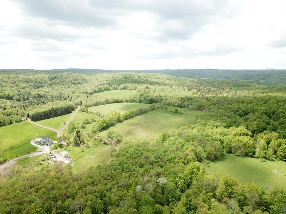 0 Dubois, Livingston Manor, NY 12758