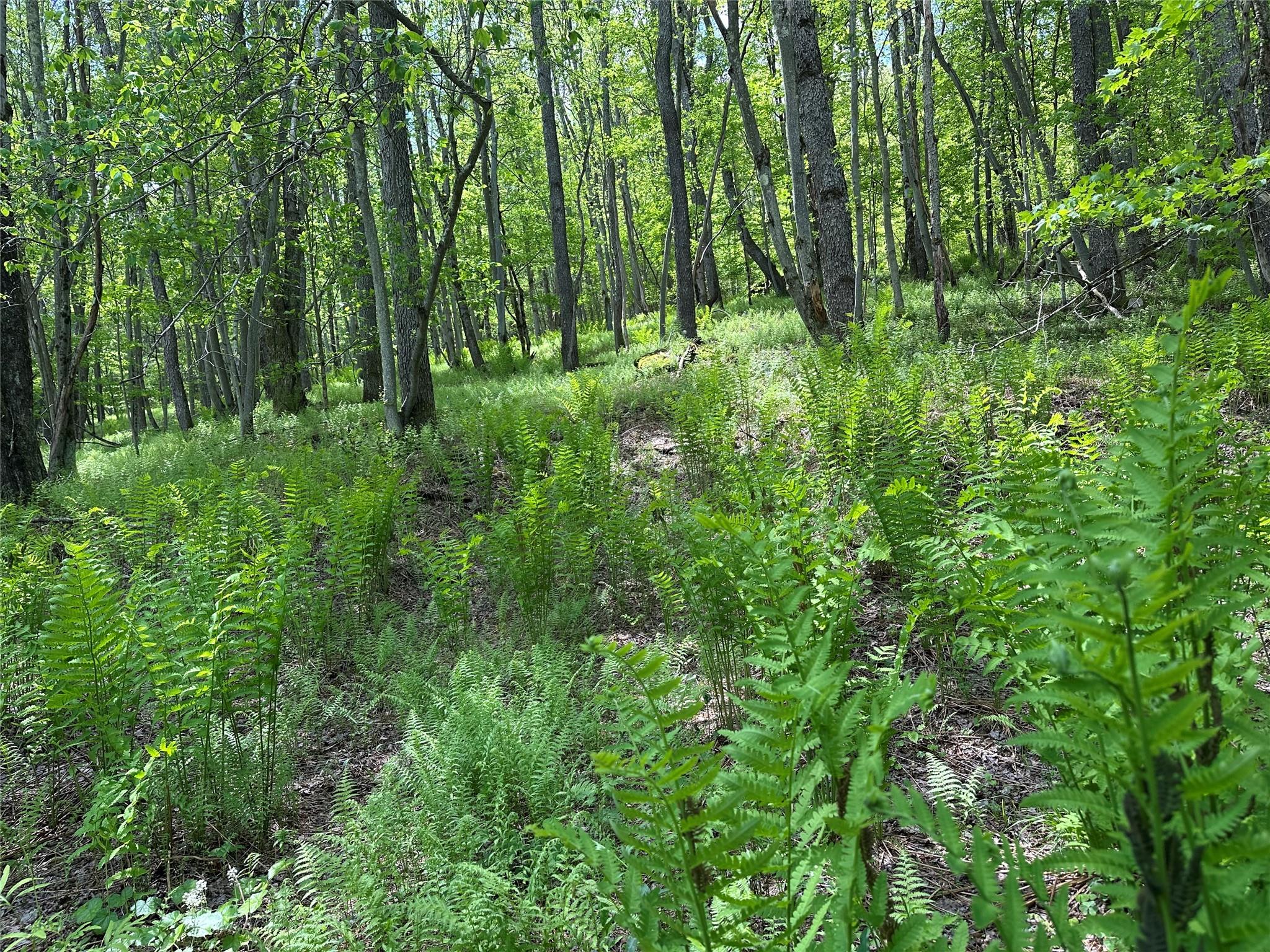 0 Dubois, Livingston Manor, NY 12758