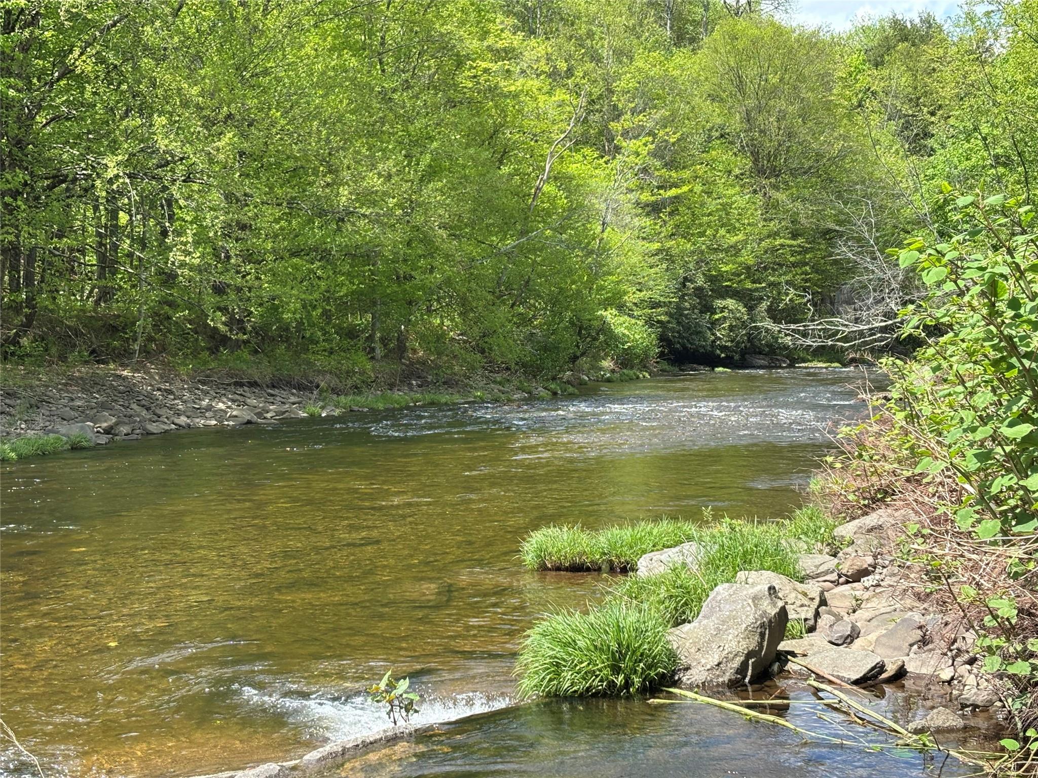 0 Dubois, Livingston Manor, NY 12758