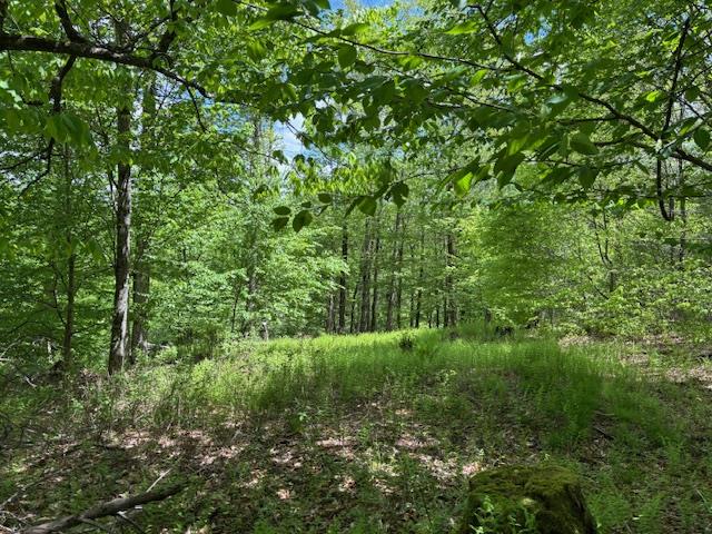 0 Dubois, Livingston Manor, NY 12758