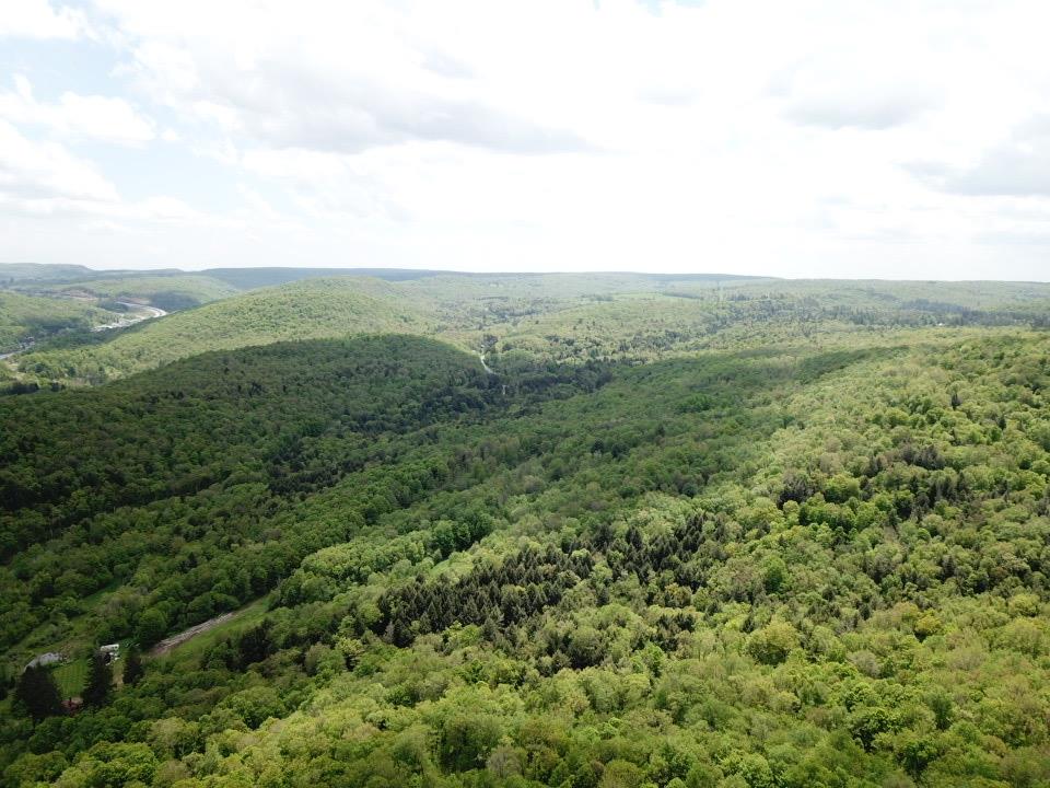 0 Dubois, Livingston Manor, NY 12758