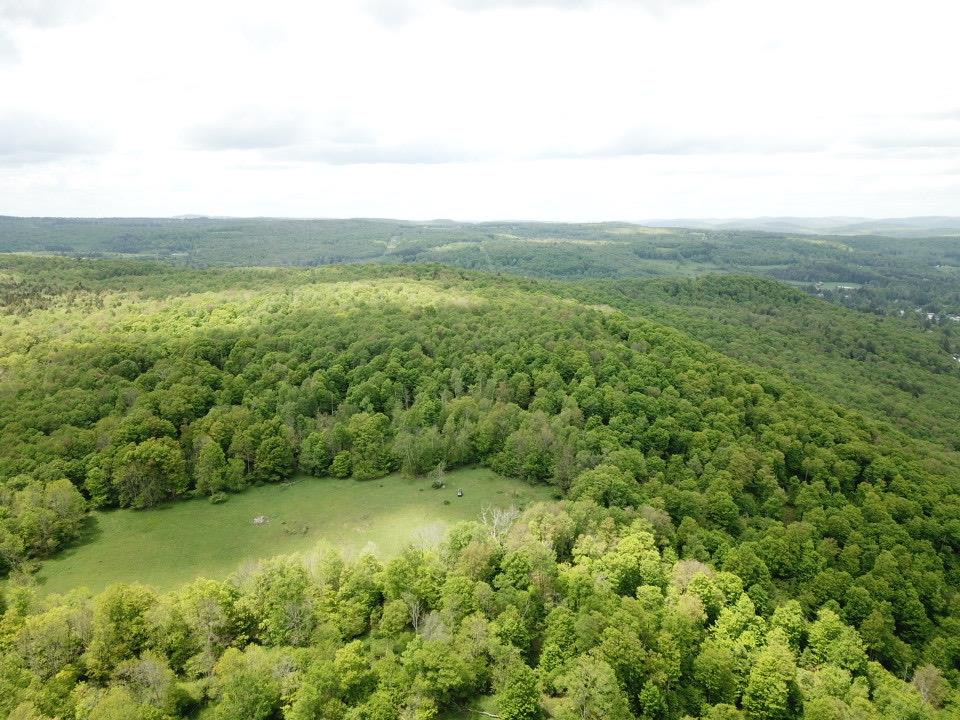 0 Dubois, Livingston Manor, NY 12758