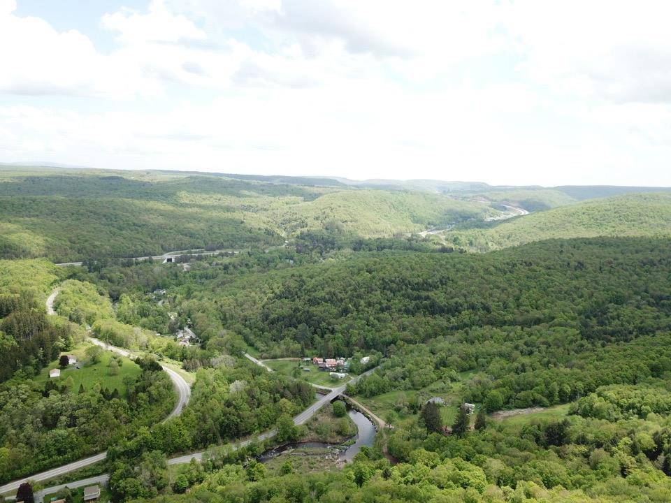 0 Dubois, Livingston Manor, NY 12758