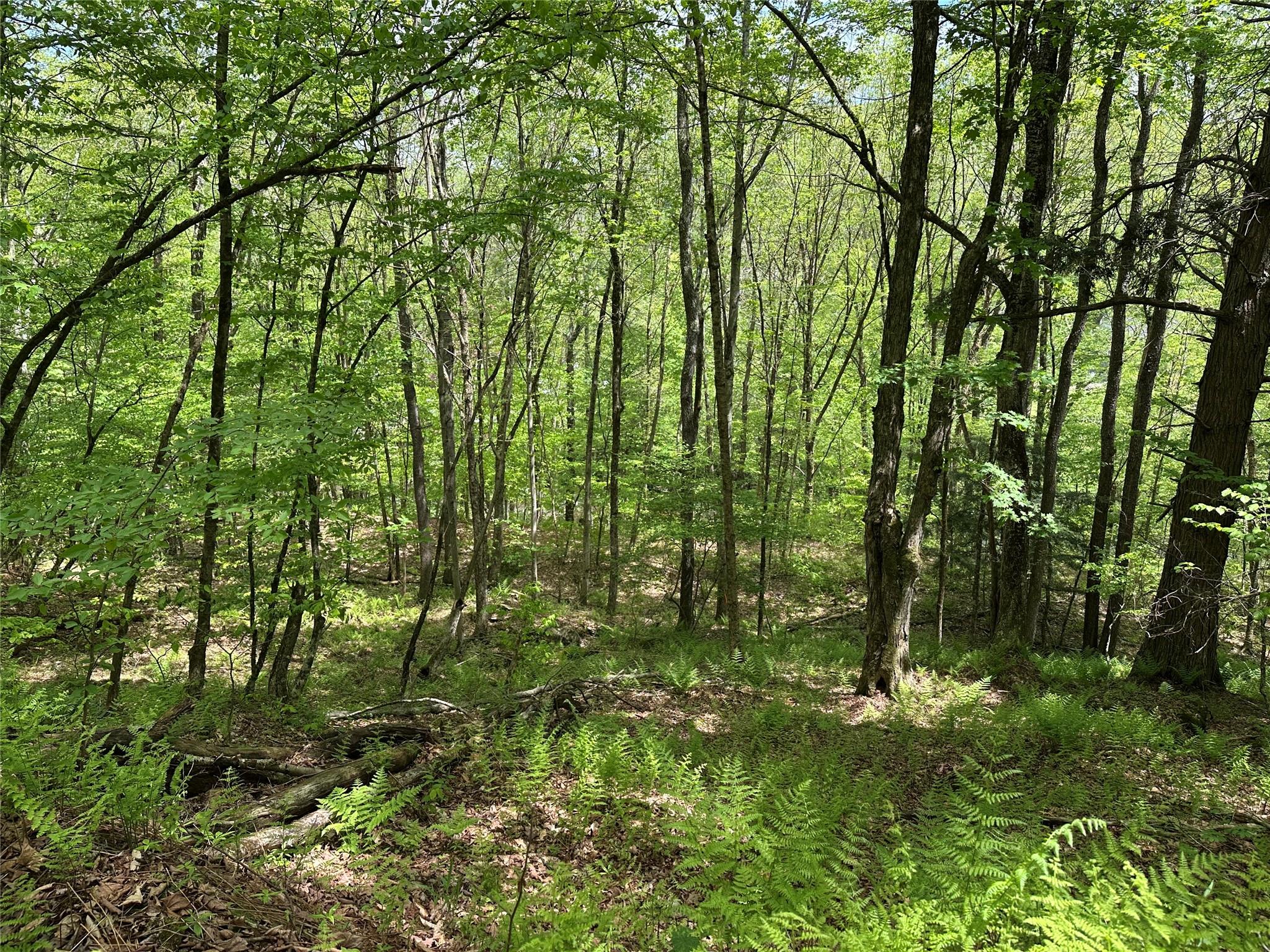 0 Dubois, Livingston Manor, NY 12758