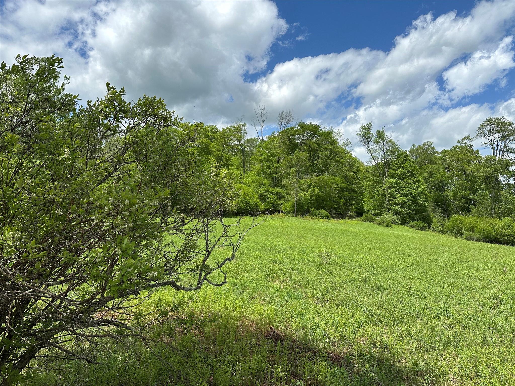 0 Dubois, Livingston Manor, NY 12758