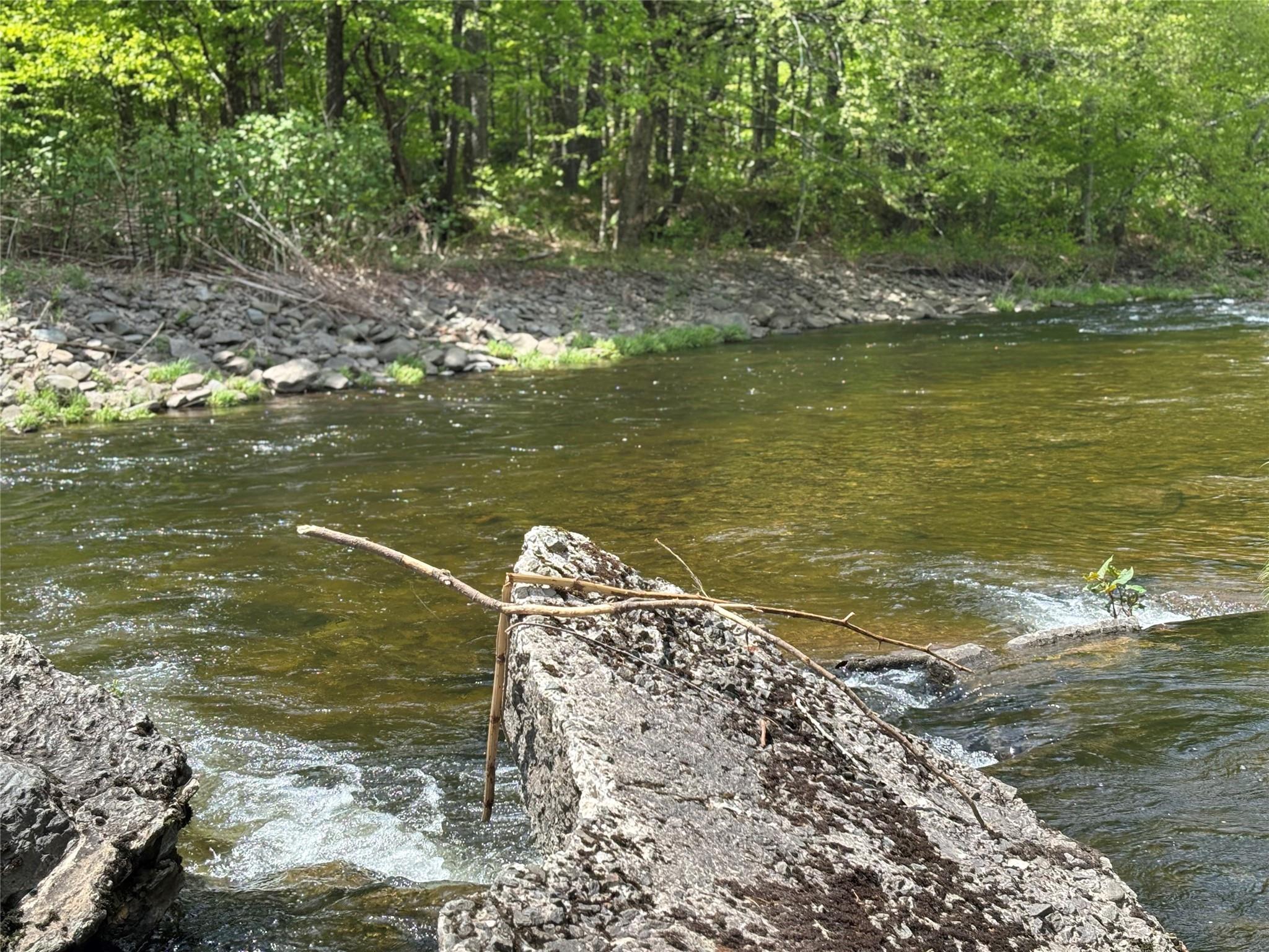 0 Dubois, Livingston Manor, NY 12758