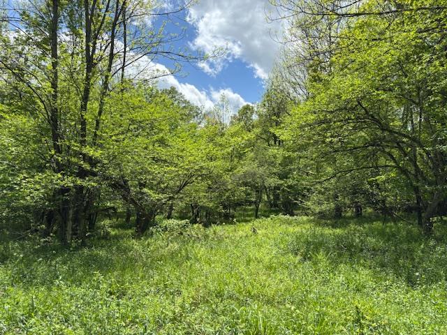 0 Dubois, Livingston Manor, NY 12758