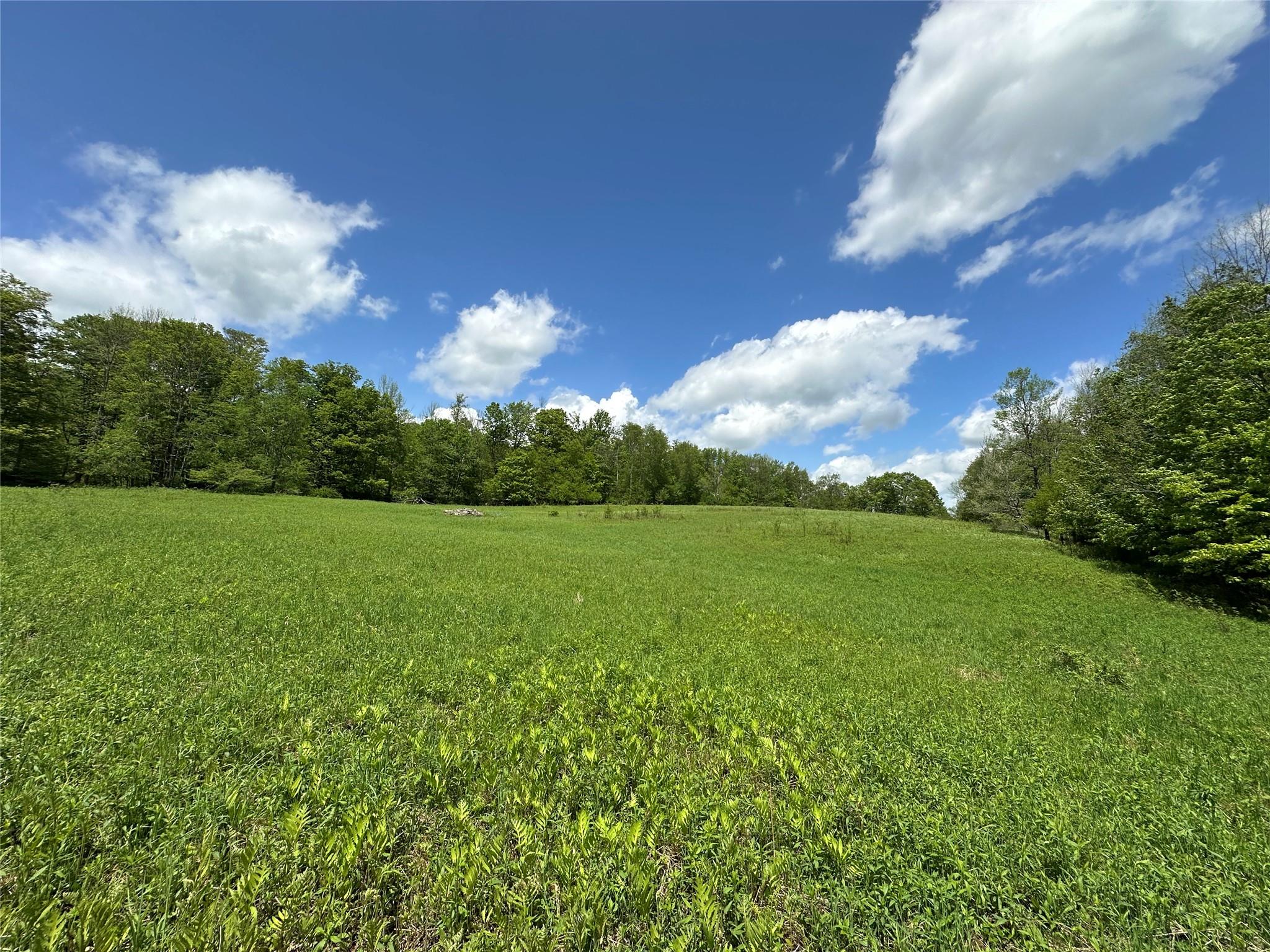 0 Dubois, Livingston Manor, NY 12758