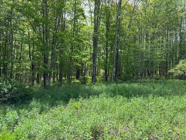 0 Dubois, Livingston Manor, NY 12758