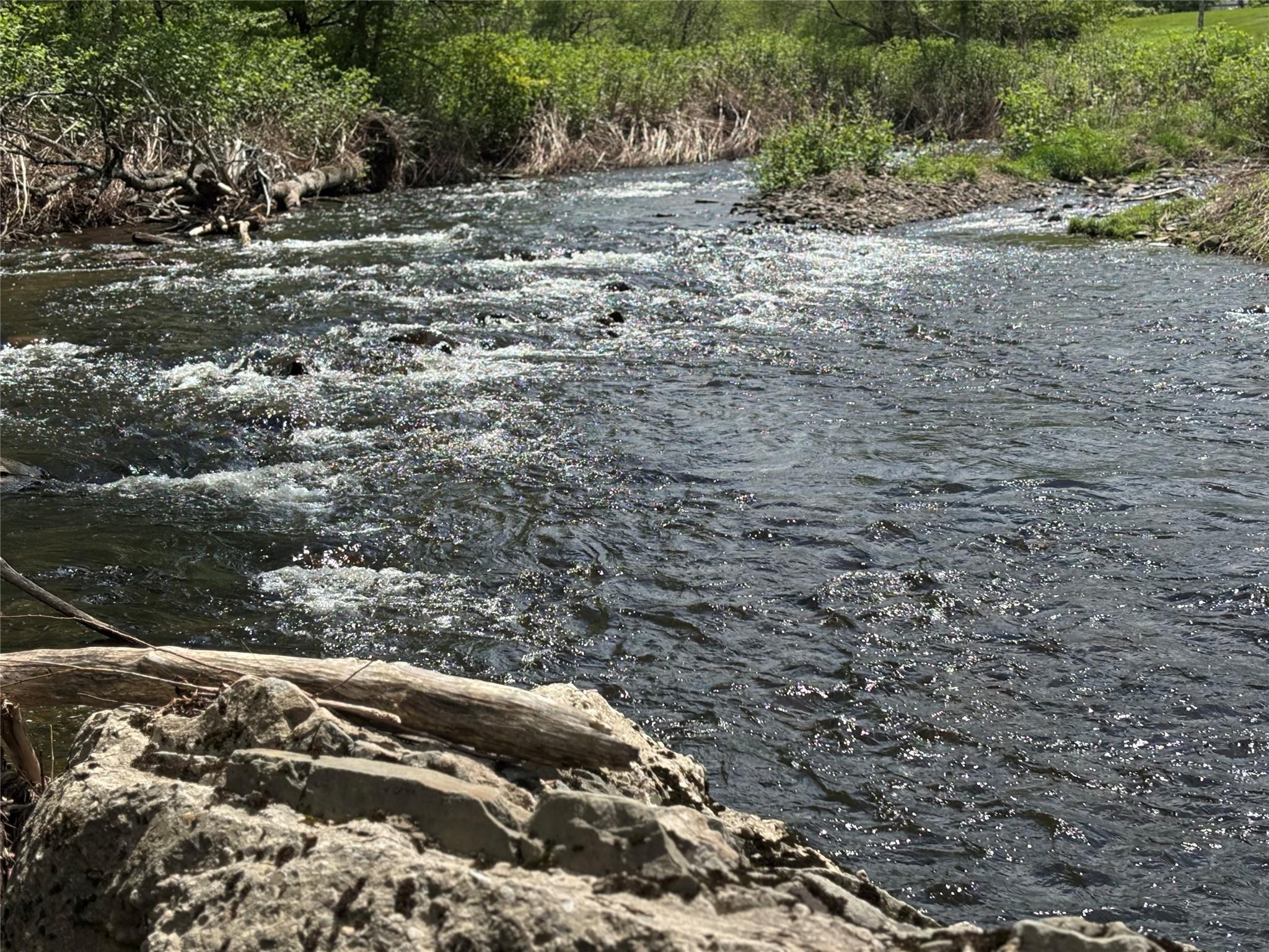 0 Dubois, Livingston Manor, NY 12758