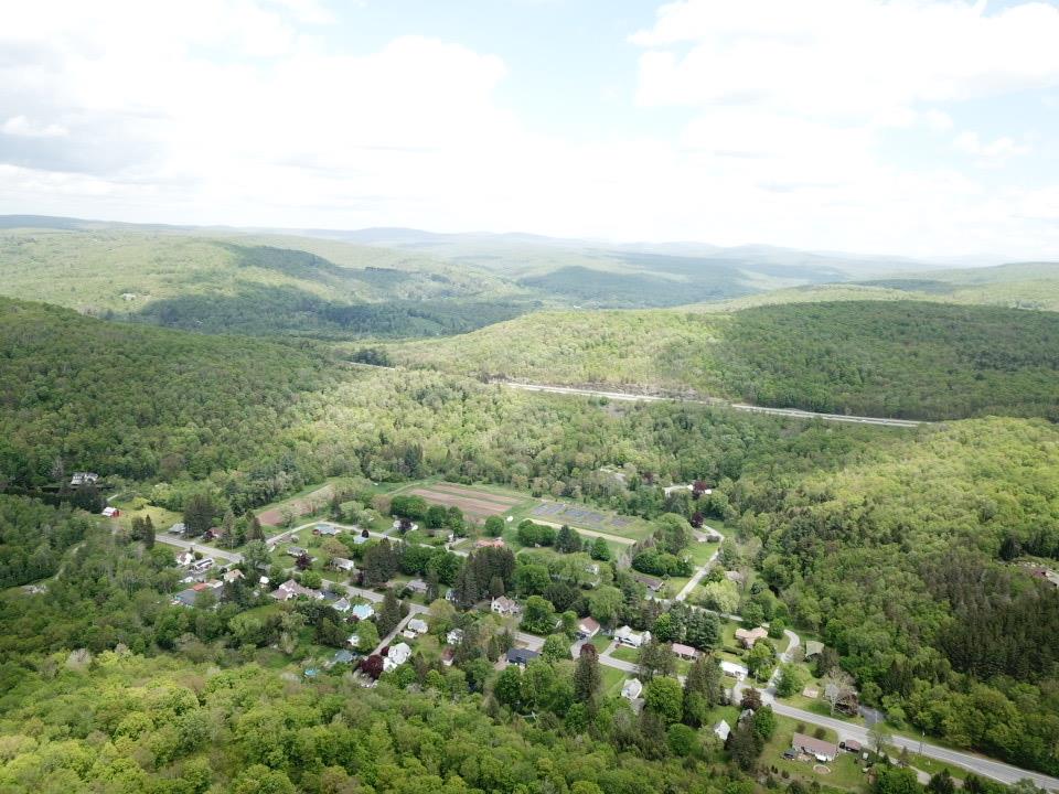 0 Dubois, Livingston Manor, NY 12758