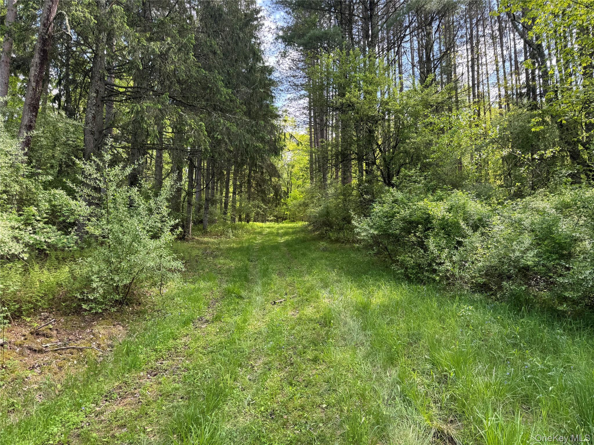 632 New Turnpike Road, Cochecton, NY 12726